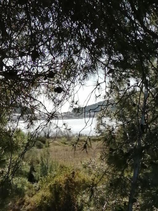 Le Soleil D Eugenie Appartement Dans Residence Avec Piscine Commune Pres De Carcassonne Olonzac Екстериор снимка
