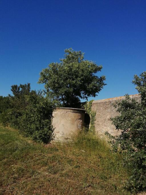 Le Soleil D Eugenie Appartement Dans Residence Avec Piscine Commune Pres De Carcassonne Olonzac Екстериор снимка