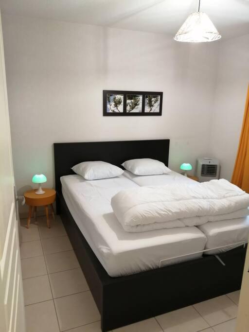 Le Soleil D Eugenie Appartement Dans Residence Avec Piscine Commune Pres De Carcassonne Olonzac Екстериор снимка