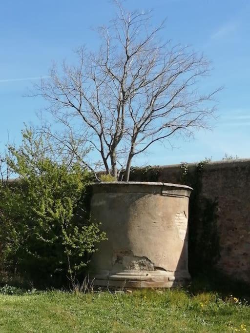 Le Soleil D Eugenie Appartement Dans Residence Avec Piscine Commune Pres De Carcassonne Olonzac Екстериор снимка