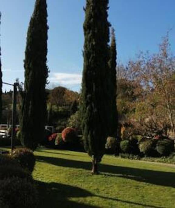 Le Soleil D Eugenie Appartement Dans Residence Avec Piscine Commune Pres De Carcassonne Olonzac Екстериор снимка
