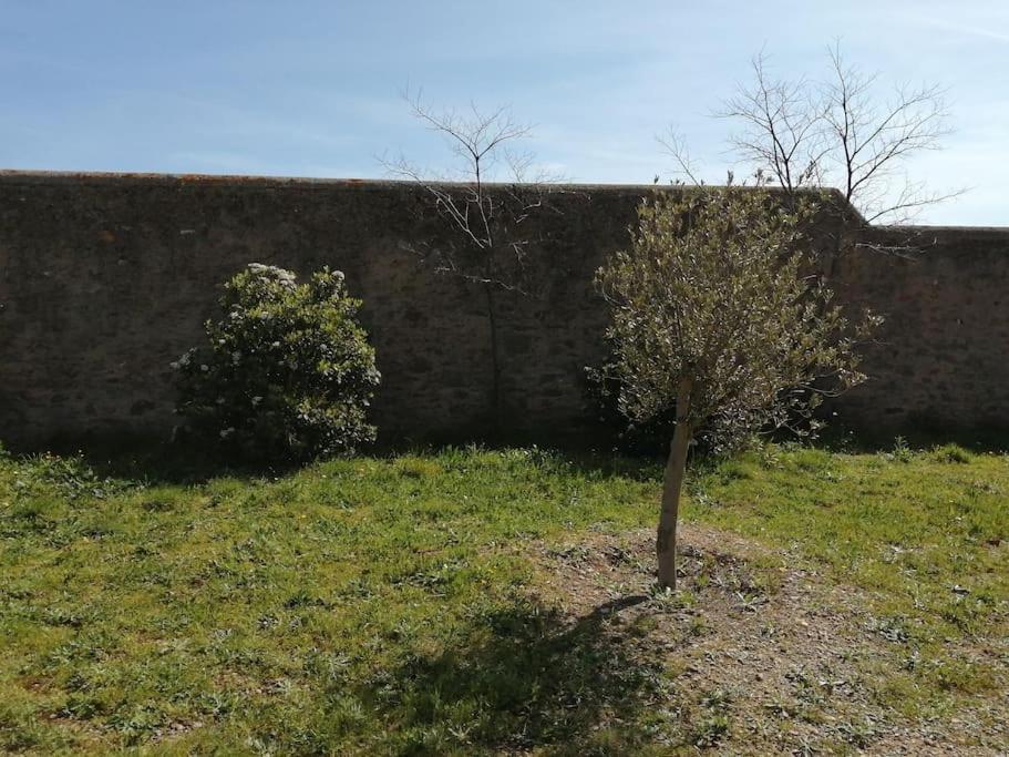 Le Soleil D Eugenie Appartement Dans Residence Avec Piscine Commune Pres De Carcassonne Olonzac Екстериор снимка